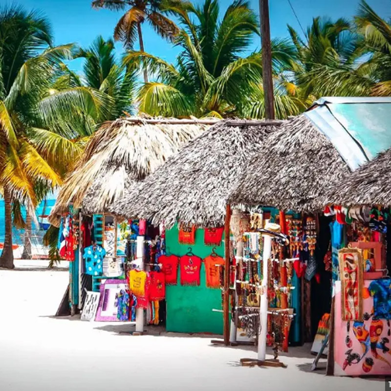 EXCURSIONES ISLA SAONA DESDE BAYAHIBE